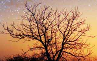 网站做seo什么意思？ 做seo的网站是怎么样的？