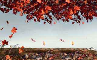 共享工作室建设方案，共享工作室建设方案范文