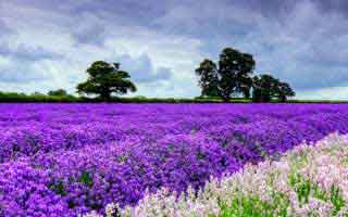 网页海报原型图怎么制作（网站海报）