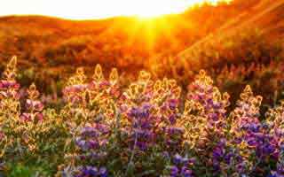 深圳邻里中心建设方案？ 深圳邻里购物中心？