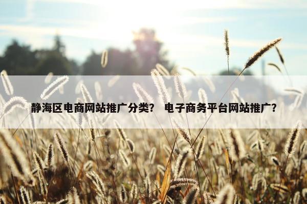 静海区电商网站推广分类？ 电子商务平台网站推广？