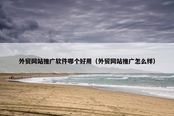 外贸网站推广软件哪个好用（外贸网站推广怎么样）