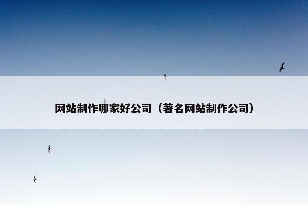 网站制作哪家好公司（著名网站制作公司）