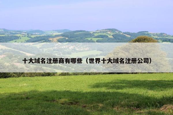 十大域名注册商有哪些（世界十大域名注册公司）