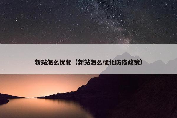 新站怎么优化（新站怎么优化防疫政策）