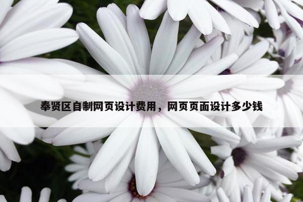 奉贤区自制网页设计费用，网页页面设计多少钱