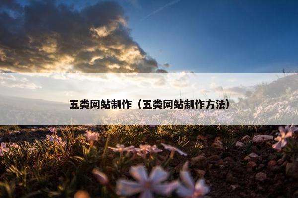 五类网站制作（五类网站制作方法）