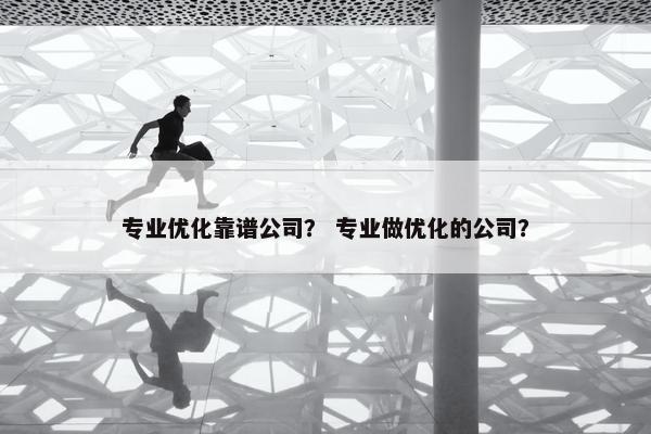 专业优化靠谱公司？ 专业做优化的公司？