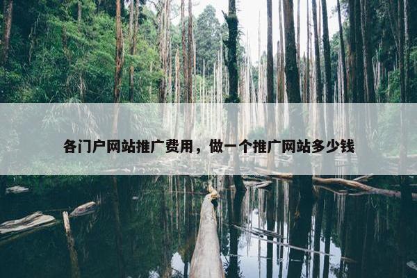 各门户网站推广费用，做一个推广网站多少钱