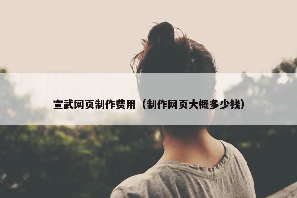 宣武网页制作费用（制作网页大概多少钱）