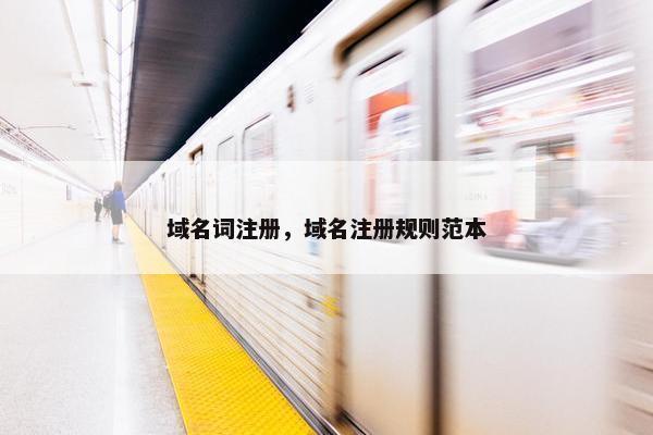 域名词注册，域名注册规则范本