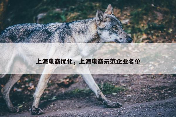 上海电商优化，上海电商示范企业名单