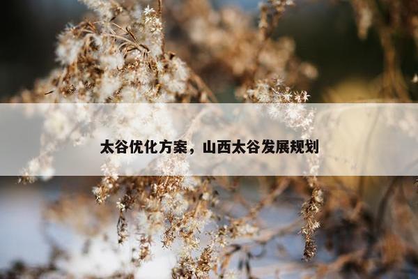 太谷优化方案，山西太谷发展规划