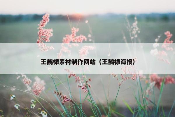王鹤棣素材制作网站（王鹤棣海报）
