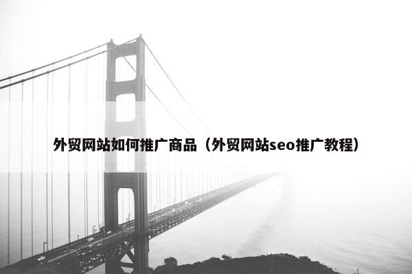 外贸网站如何推广商品（外贸网站seo推广教程）
