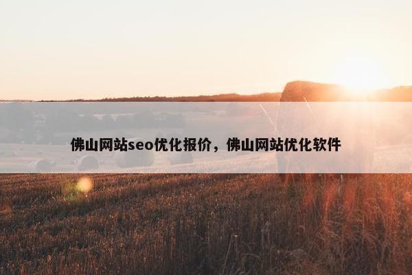 佛山网站seo优化报价，佛山网站优化软件