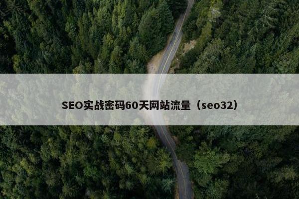 SEO实战密码60天网站流量（seo32）