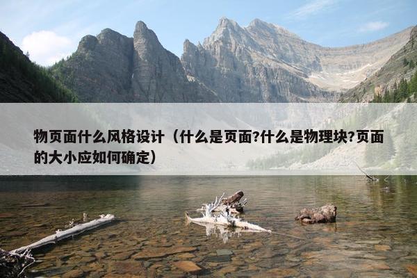 物页面什么风格设计（什么是页面?什么是物理块?页面的大小应如何确定）