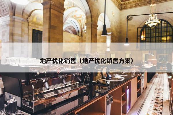 地产优化销售（地产优化销售方案）