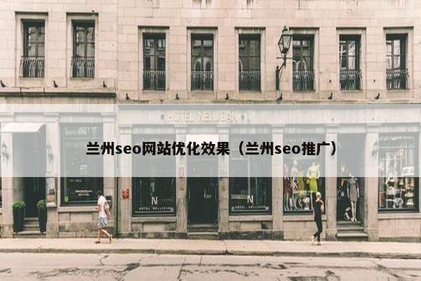 兰州seo网站优化效果（兰州seo推广）