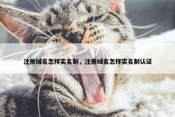 注册域名怎样实名制，注册域名怎样实名制认证