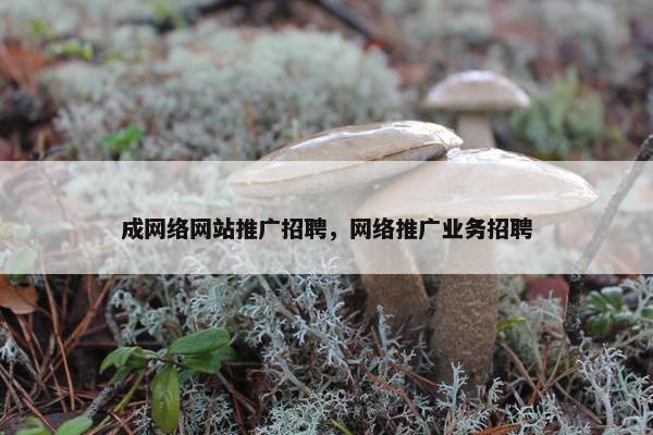 成网络网站推广招聘，网络推广业务招聘