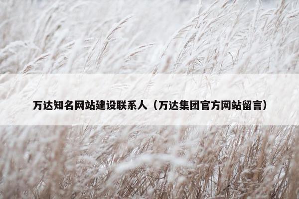 万达知名网站建设联系人（万达集团官方网站留言）