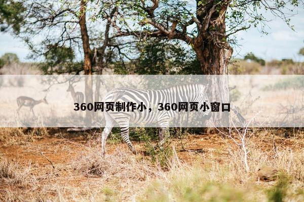 360网页制作小，360网页小窗口