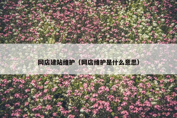 网店建站维护（网店维护是什么意思）