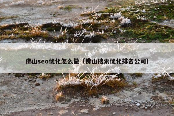 佛山seo优化怎么做（佛山搜索优化排名公司）