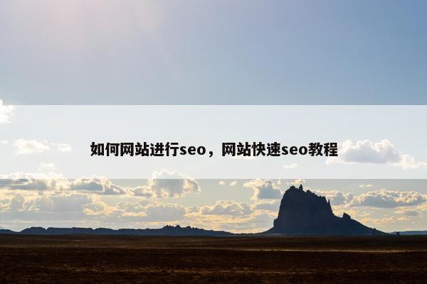 如何网站进行seo，网站快速seo教程