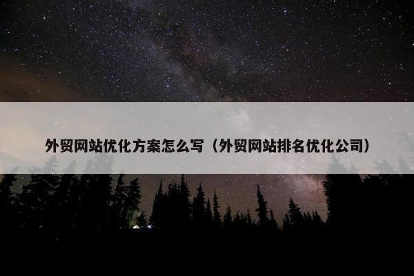 外贸网站优化方案怎么写（外贸网站排名优化公司）