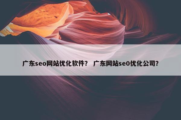 广东seo网站优化软件？ 广东网站se0优化公司？