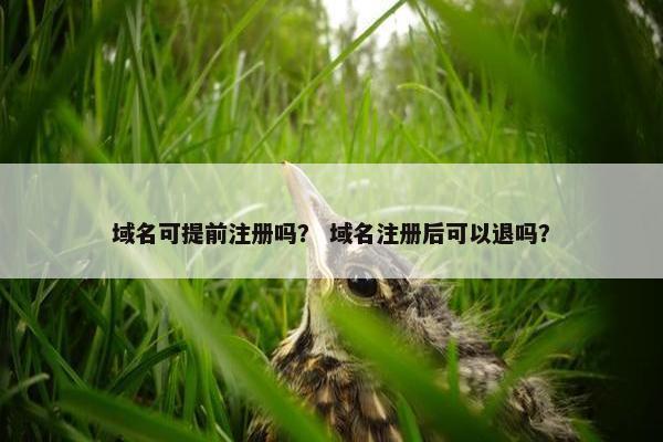 域名可提前注册吗？ 域名注册后可以退吗？