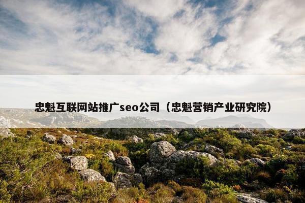忠魁互联网站推广seo公司（忠魁营销产业研究院）