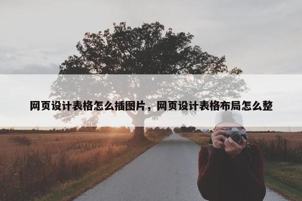网页设计表格怎么插图片，网页设计表格布局怎么整