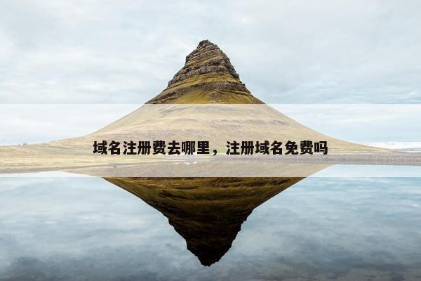 域名注册费去哪里，注册域名免费吗