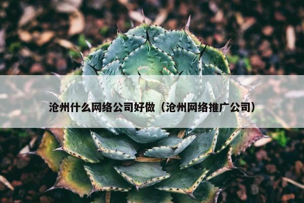 沧州什么网络公司好做（沧州网络推广公司）