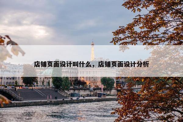 店铺页面设计叫什么，店铺页面设计分析