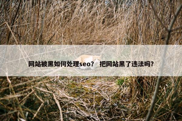 网站被黑如何处理seo？ 把网站黑了违法吗？