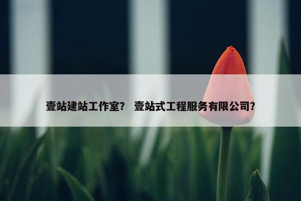 壹站建站工作室？ 壹站式工程服务有限公司？