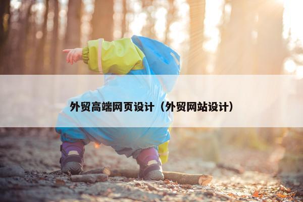 外贸高端网页设计（外贸网站设计）