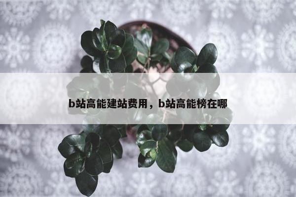 b站高能建站费用，b站高能榜在哪