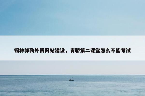 锡林郭勒外贸网站建设，青骄第二课堂怎么不能考试
