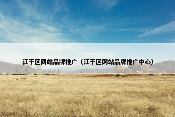 江干区网站品牌推广（江干区网站品牌推广中心）