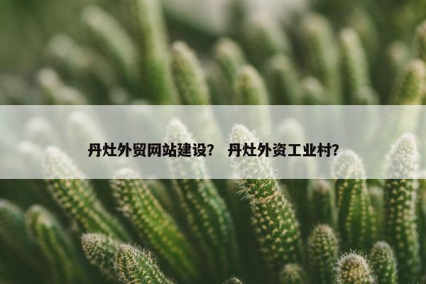 丹灶外贸网站建设？ 丹灶外资工业村？