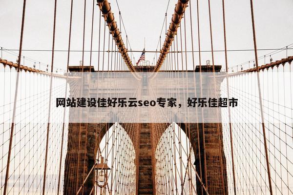 网站建设佳好乐云seo专家，好乐佳超市