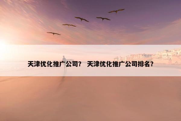 天津优化推广公司？ 天津优化推广公司排名？