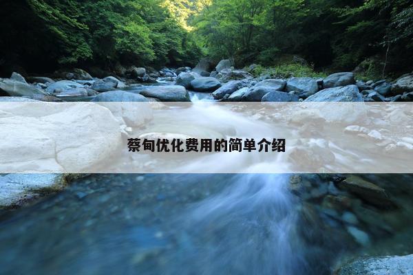 蔡甸优化费用的简单介绍