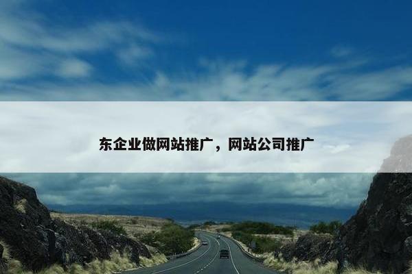 东企业做网站推广，网站公司推广